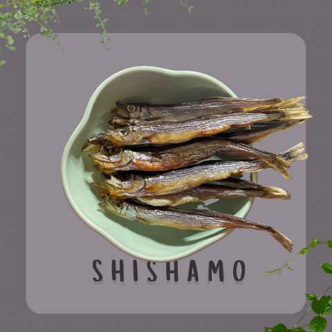 Shishamo