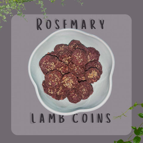 Rosemary Lamb Coins