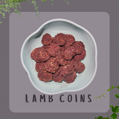 Lamb Coins